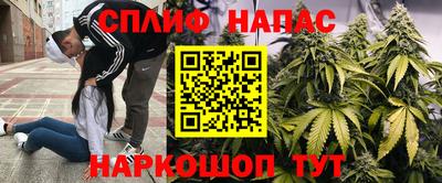 мдпв Гай