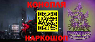 шишки Абакан