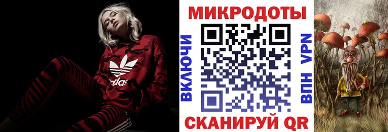 купить наркотики сайты  Алатырь  Галлюциногенные грибы Psilocybe 