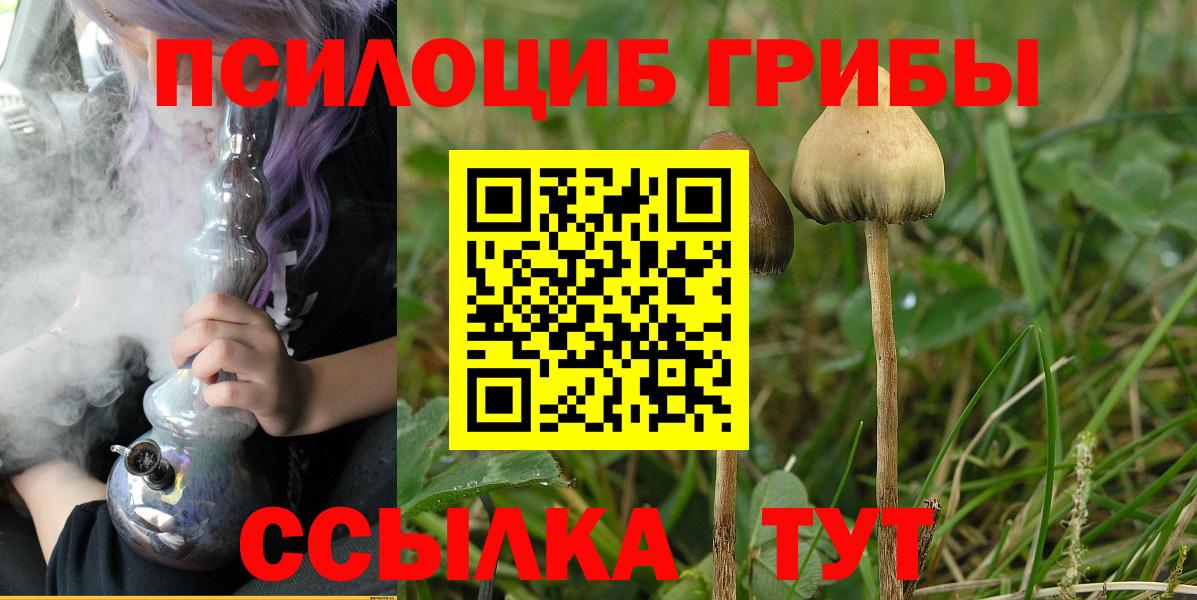 Псилоцибиновые грибы Magic Shrooms Алатырь