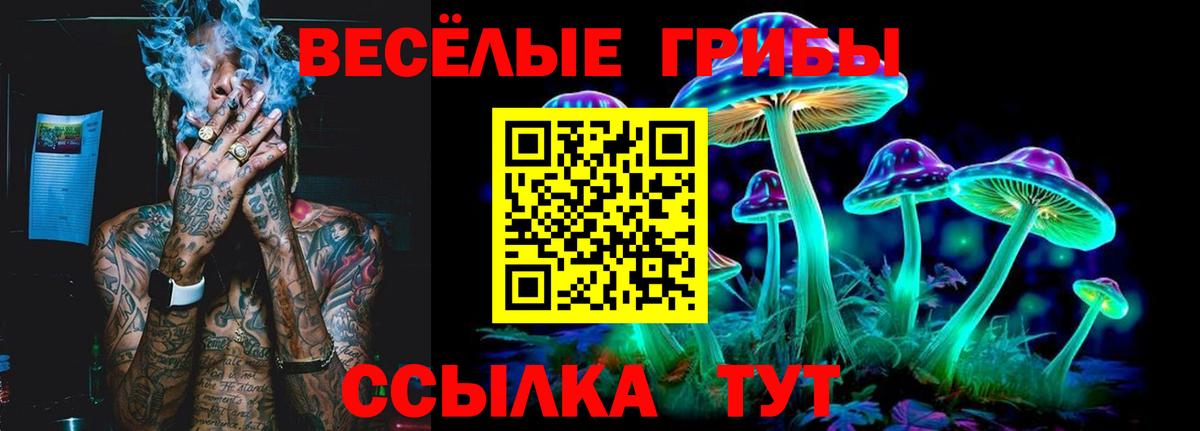 Псилоцибиновые грибы Cubensis Алатырь